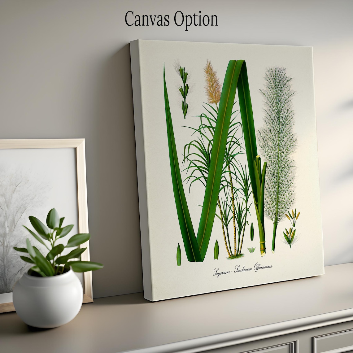 Sugarcane Botanical Art Print, Kitchen Wall Decor - Image 2