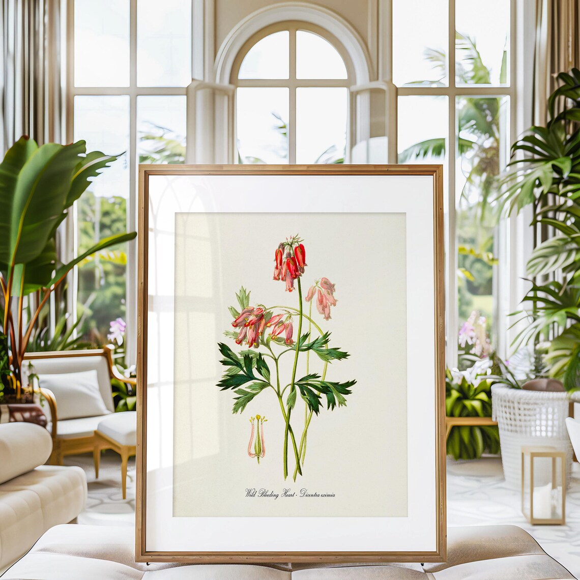 Wild Bleeding Heart Flower Botanical Art Print - Image 3
