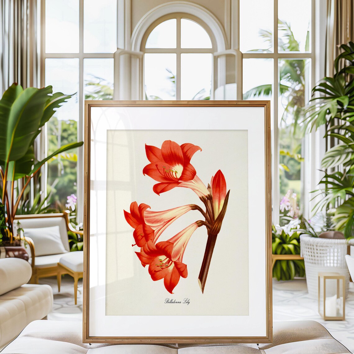 Belladonna Lily Botanical Art Print, Floral Decor - Image 3