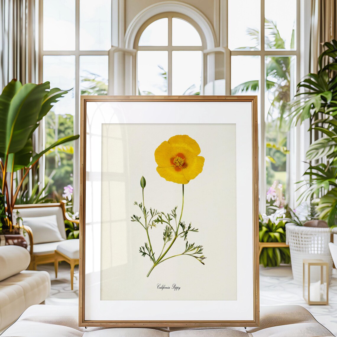 California Poppy Flower Art Print, Botanical Art Print - Image 3
