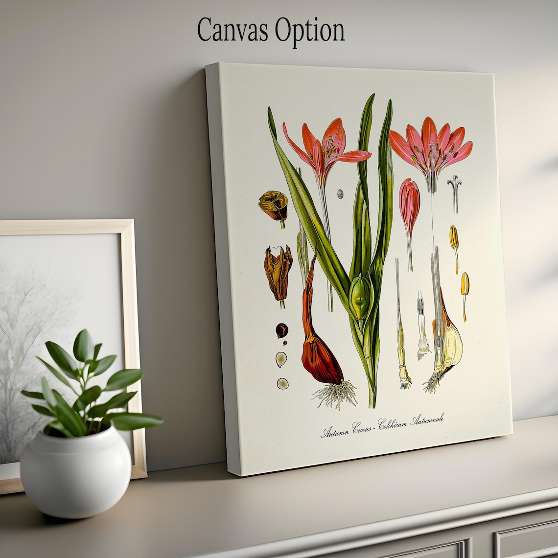 Autumn Crocus Botanical Art Print, Kitchen Wall Art - Image 2