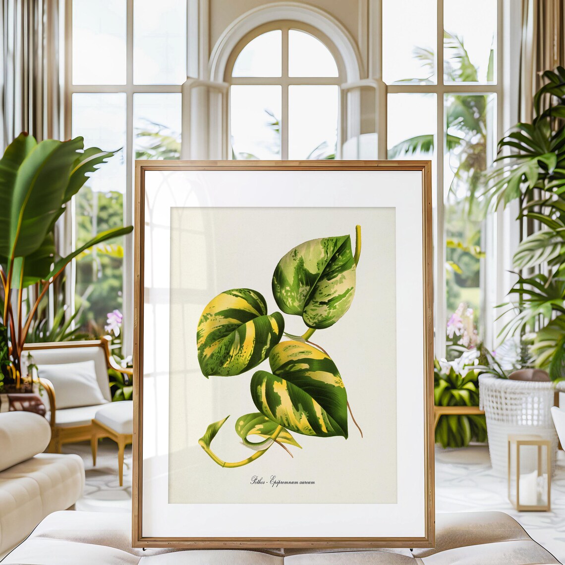 Pothos Botanical Art Print, Epipremnum Aureum - Image 3