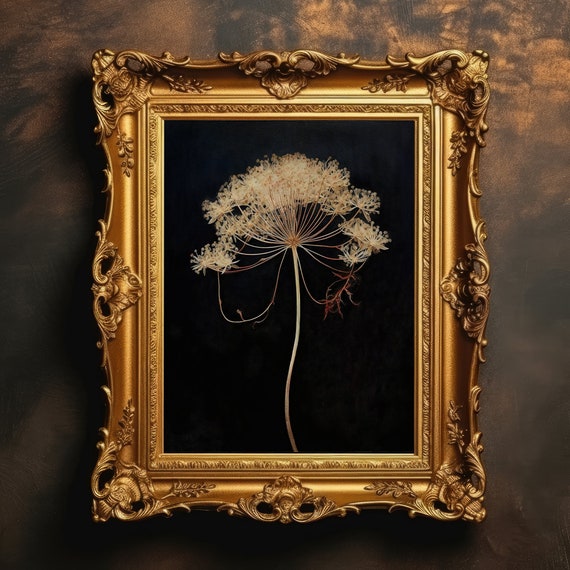 Dried Queens Lace Flower Dark Academia Floral Print Moody Botanical Wall Art Room Decor