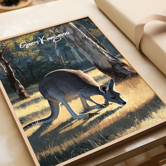 Grey Kangaroo Grazing At Sunrise Woodland Australian Wildlife Poster