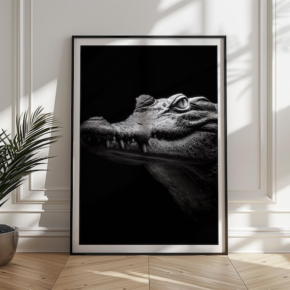 Monochrome Crocodile Portrait Dramatic Reptile Wildlife Photography Poster