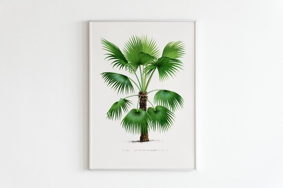 La Tropical Botanic Prints Leaves Wall Art Jungle Plant Green 1800s Plant Illustrations Vintage Nature Decor Wall Art