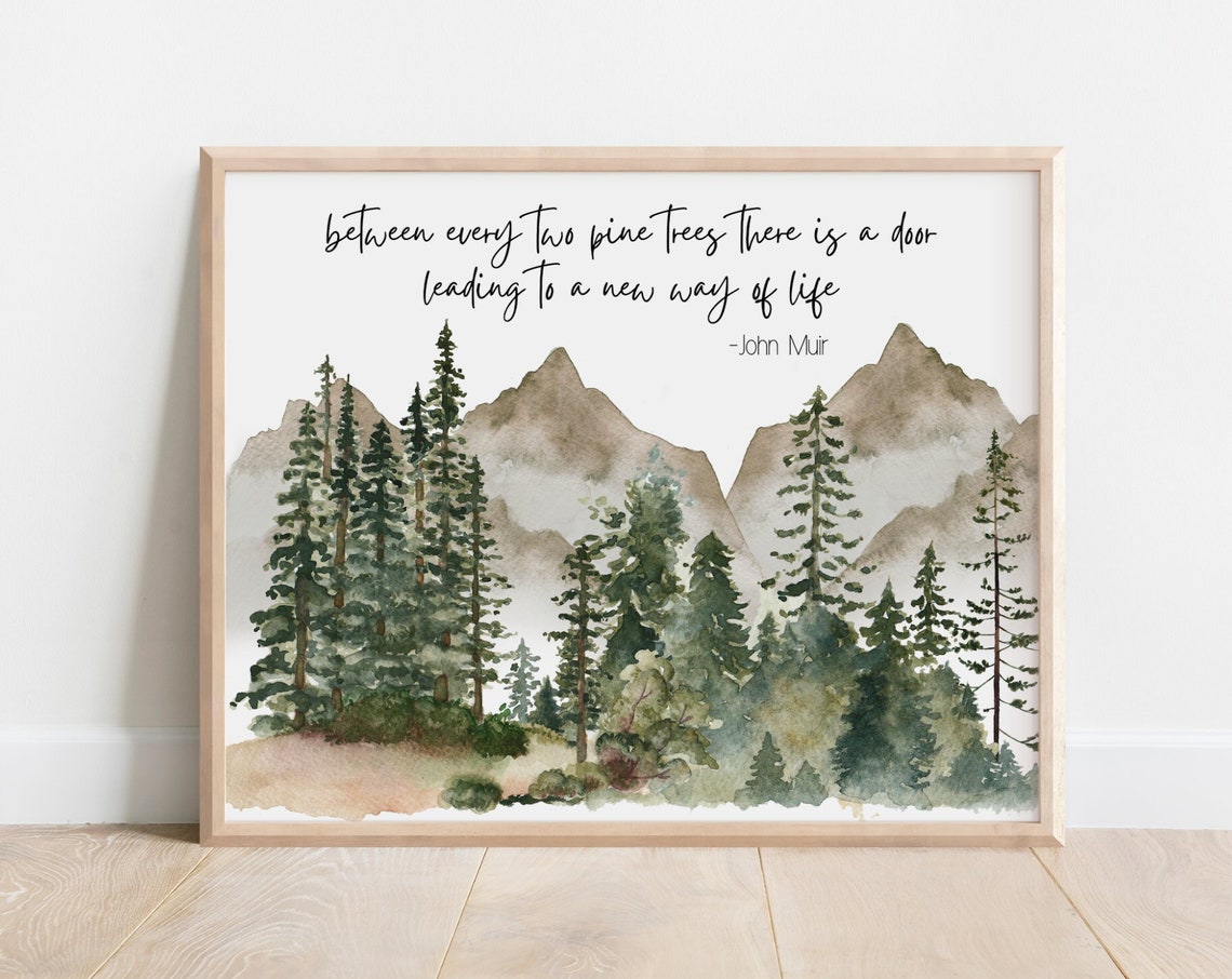 John Muir Quote Between Every Two Pine Trees Mountain Wall Art