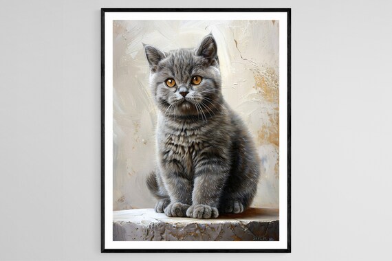 British Shorthair Kitten Poster With Amber Eyes Sitting on Stone Ledge