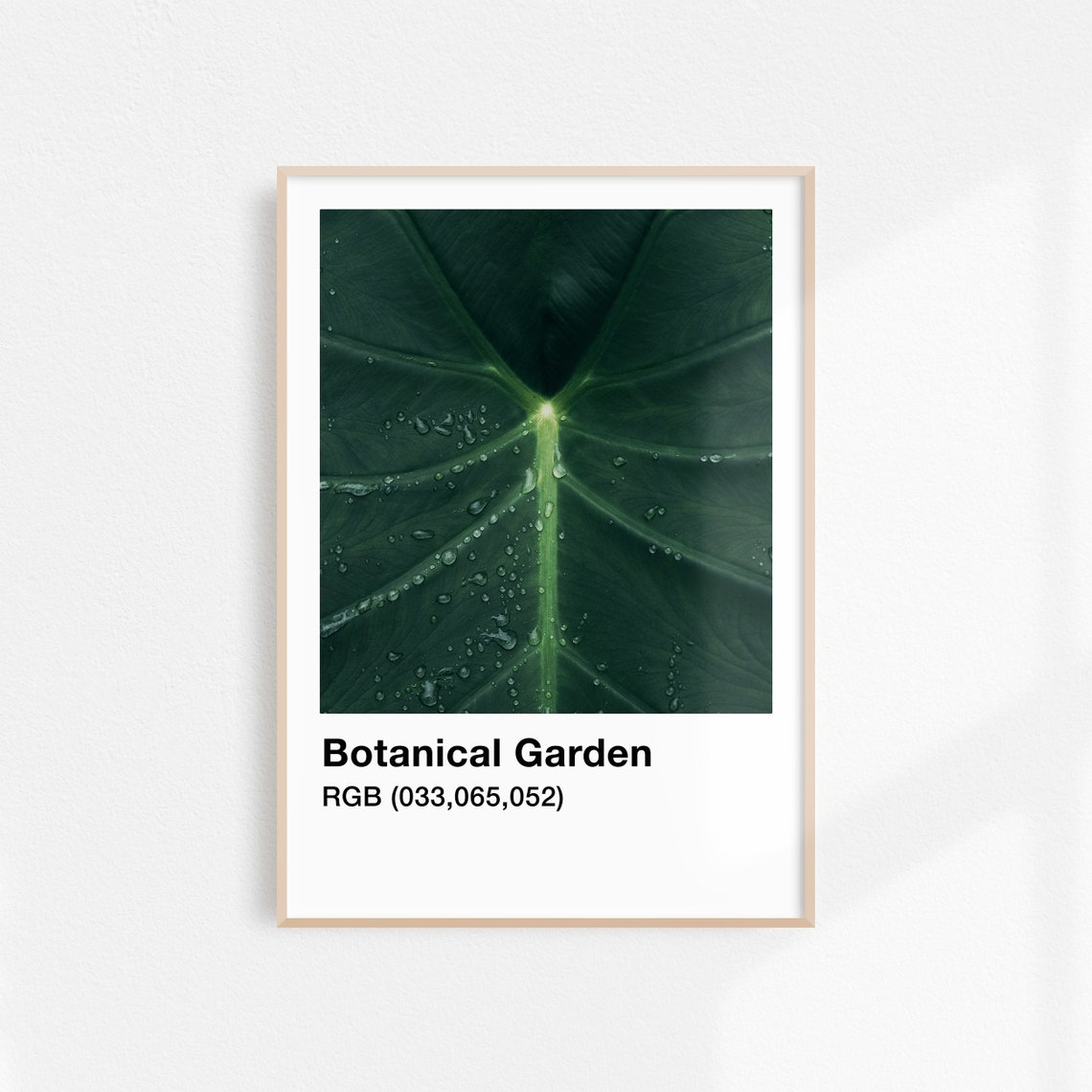 Dark Green Leaf With Water Drops Botanical Color Swatch Poster