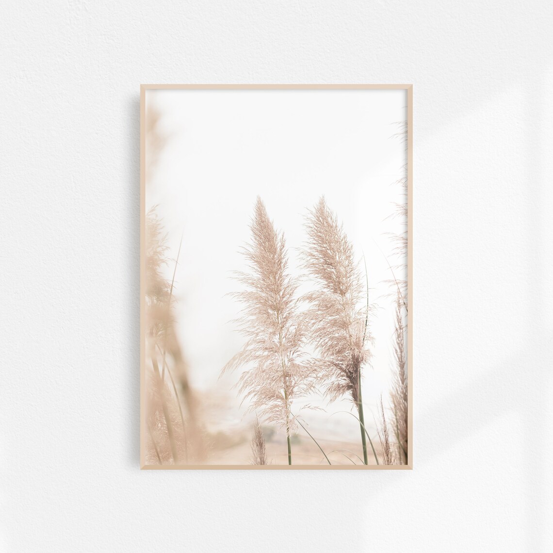 Dried Pampas Grass Plumes on Cream Background Photography Poster