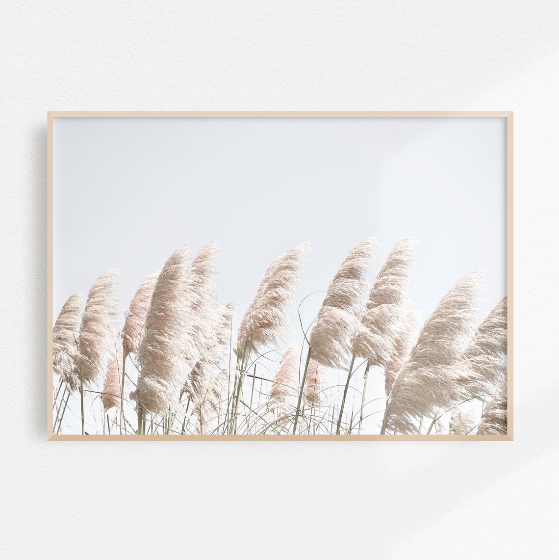 White Pampas Grass Against A Bright Sky Coastal Photo Poster