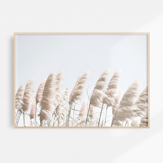 White Pampas Grass Against A Bright Sky Coastal Photo Poster