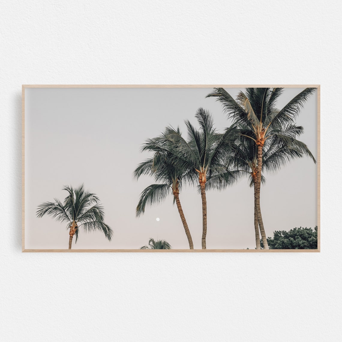 Tropical Palm Trees Against Pale Dusk Sky Coastal Photography Poster