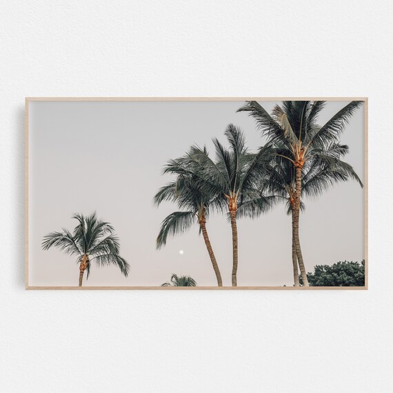 Tropical Palm Trees Against Pale Dusk Sky Coastal Photography Poster