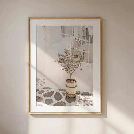 Olive Tree Print White Mediterranean Art Print Puglia Wall Art Potted Tree Print Italy Photography Neutral Wall Art Italian Village Art