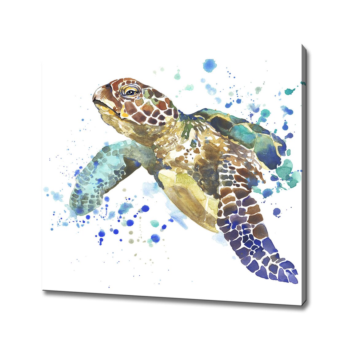 Turtle Watercolor Art Print, Ocean Sea Life Decor
