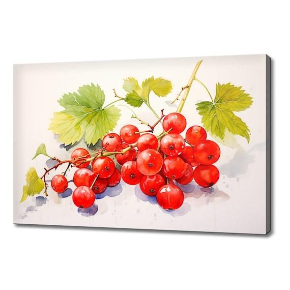 Redcurrants Fruits Watercolour Painting Print Fruits Lover Gift Kitchen Restaurant Wall Art Print Colourful Fruits Wall Decor