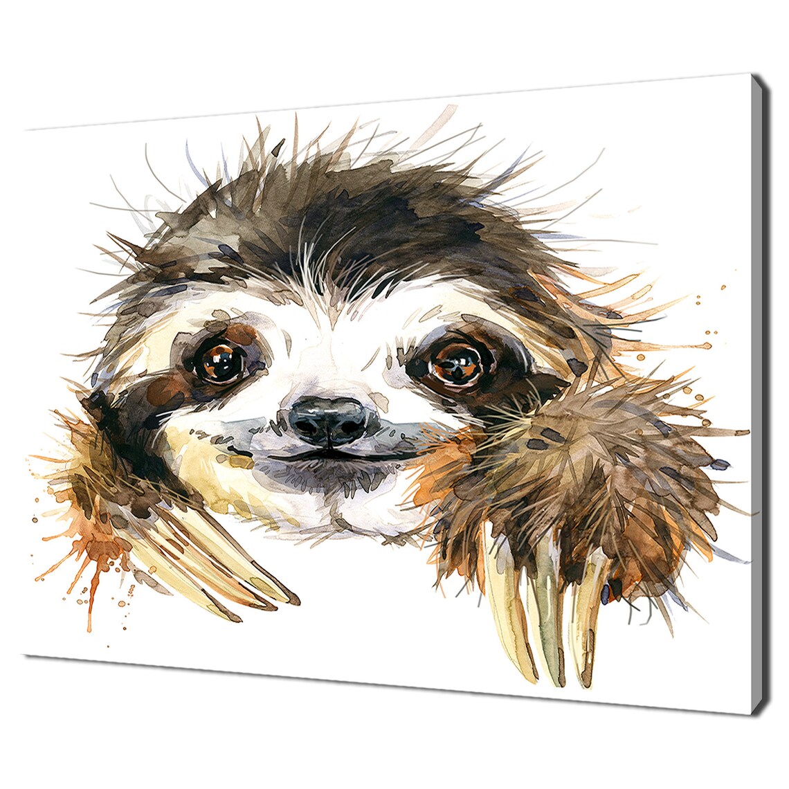 Sleepy Sloth Art Print, Animal Wildlife Home Decor