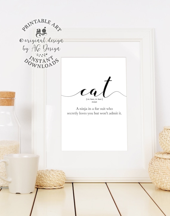 Cat Dictionary Definition Ninja in a Fur Suit Funny Cat Humor Poster