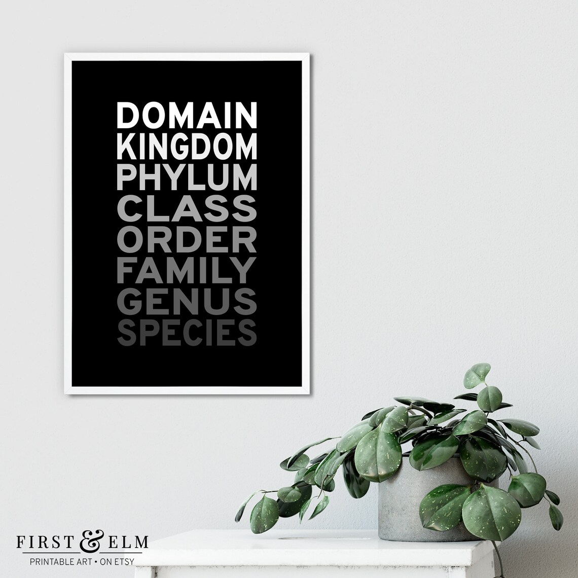Taxonomic Rank Science Geek Poster, Office Art Print - Image 3