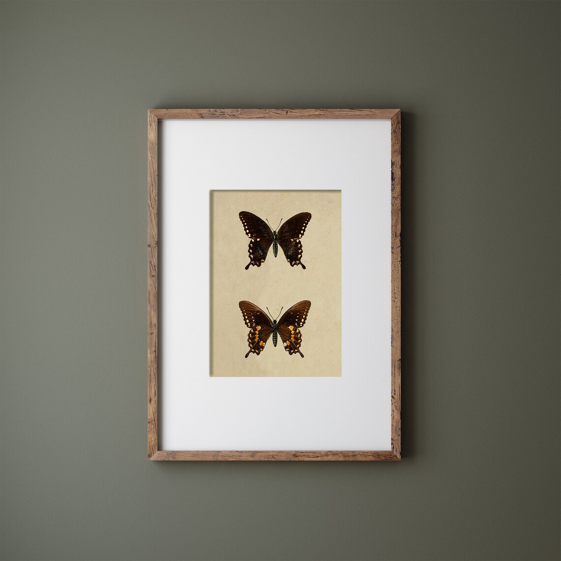 Moth And Butterfly Vintage Farmhouse Art Print - Image 3