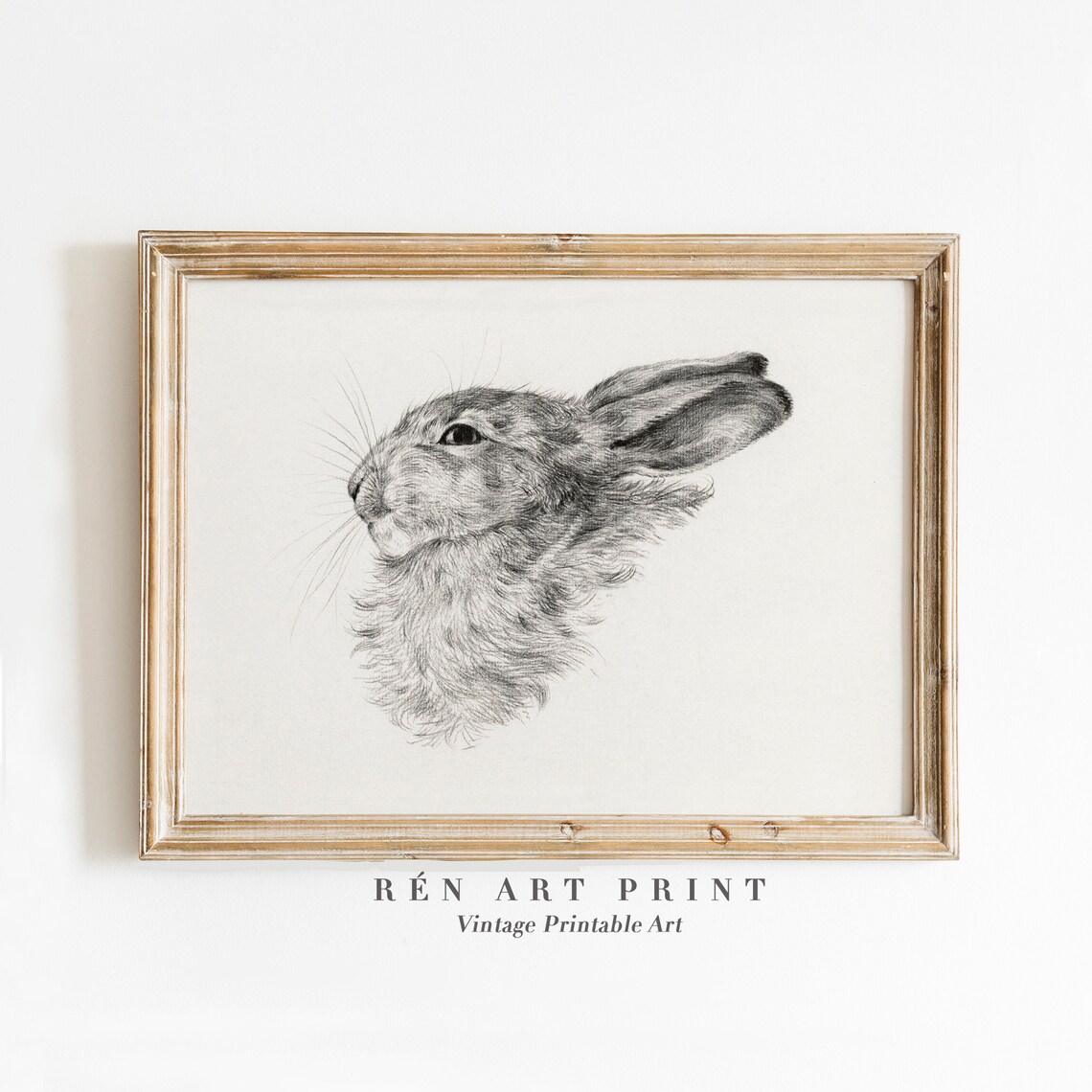 Antique Rabbit Sketch Vintage Neutral Bunny Art Print