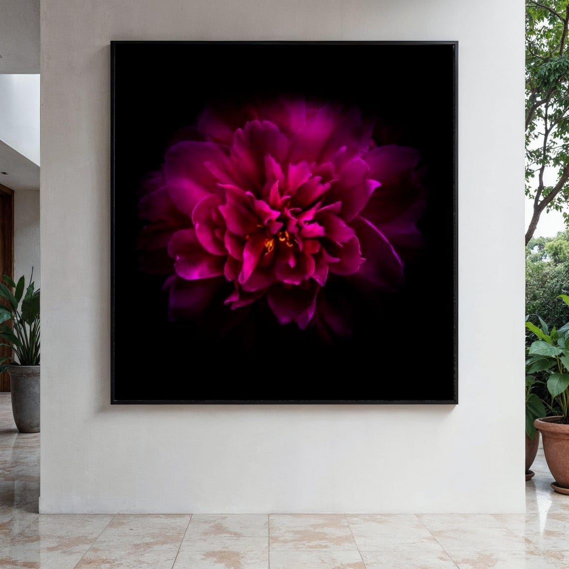 Magenta Peony Flower Macro Black Background Floral Art Poster