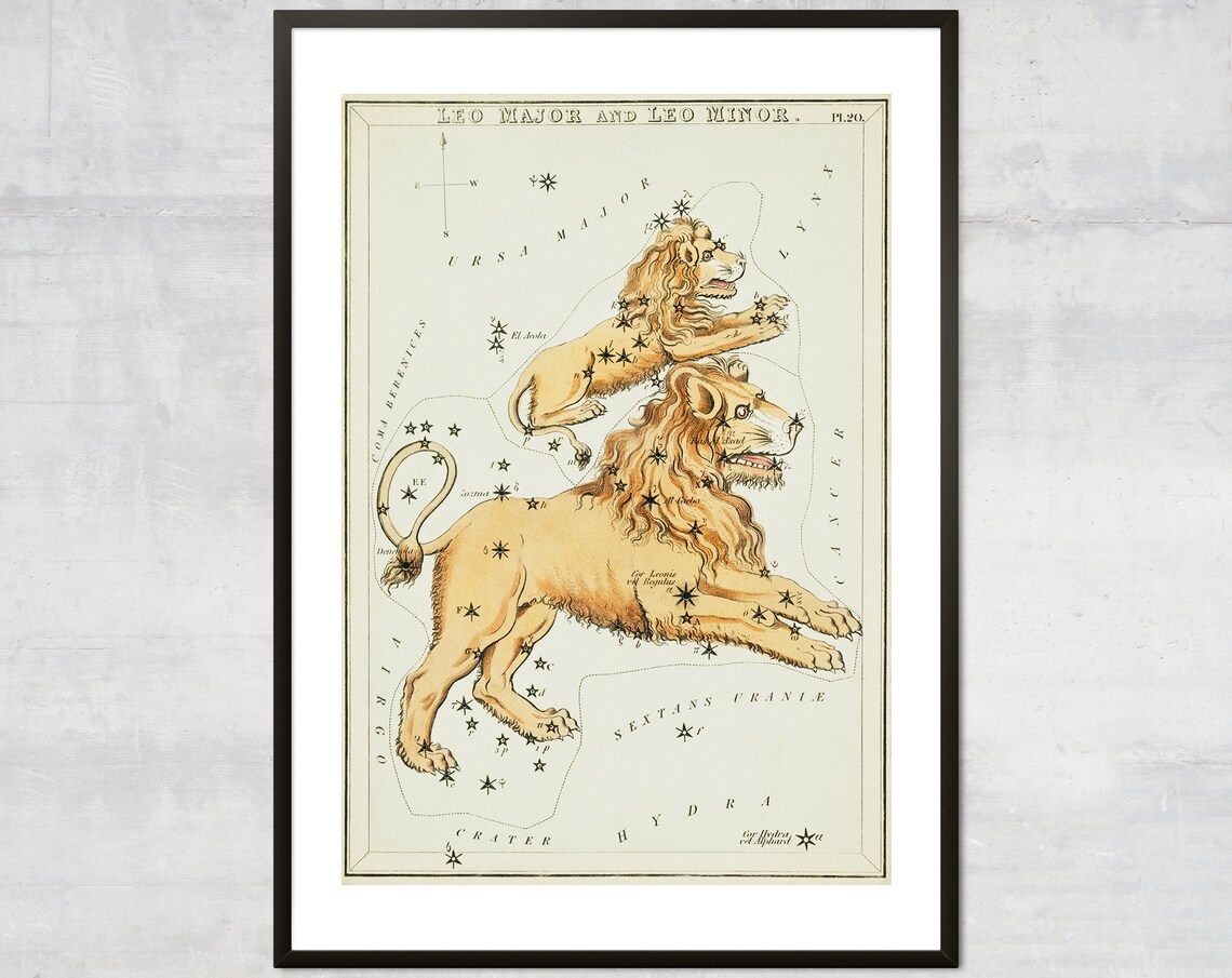 Leo Antique Zodiac Decor Vintage Astrology Poster