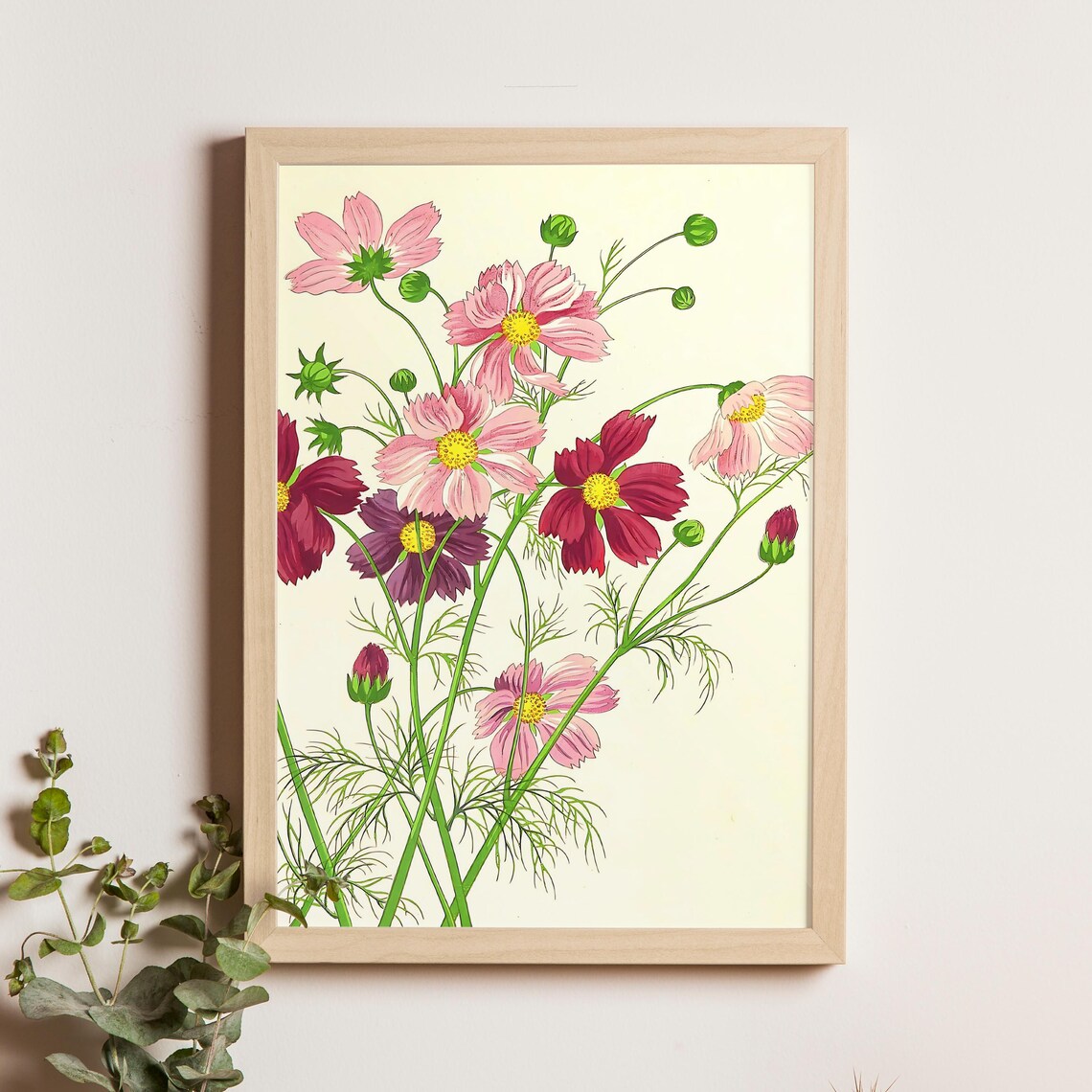 Nishimura Hodo Cosmos Pink Floral Japanese Shinhanga Flower Art Poster