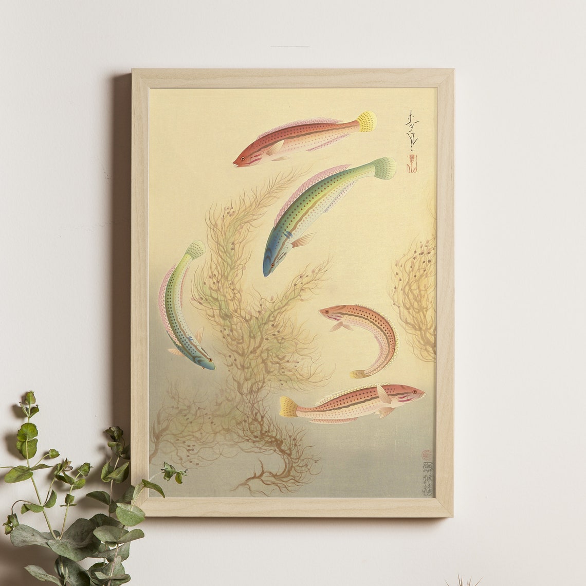 Seawife Bera by Ohno Bakufu, Japanese Fish Art