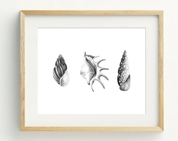 Seashell Print, Minimalist Coastal Wall Art