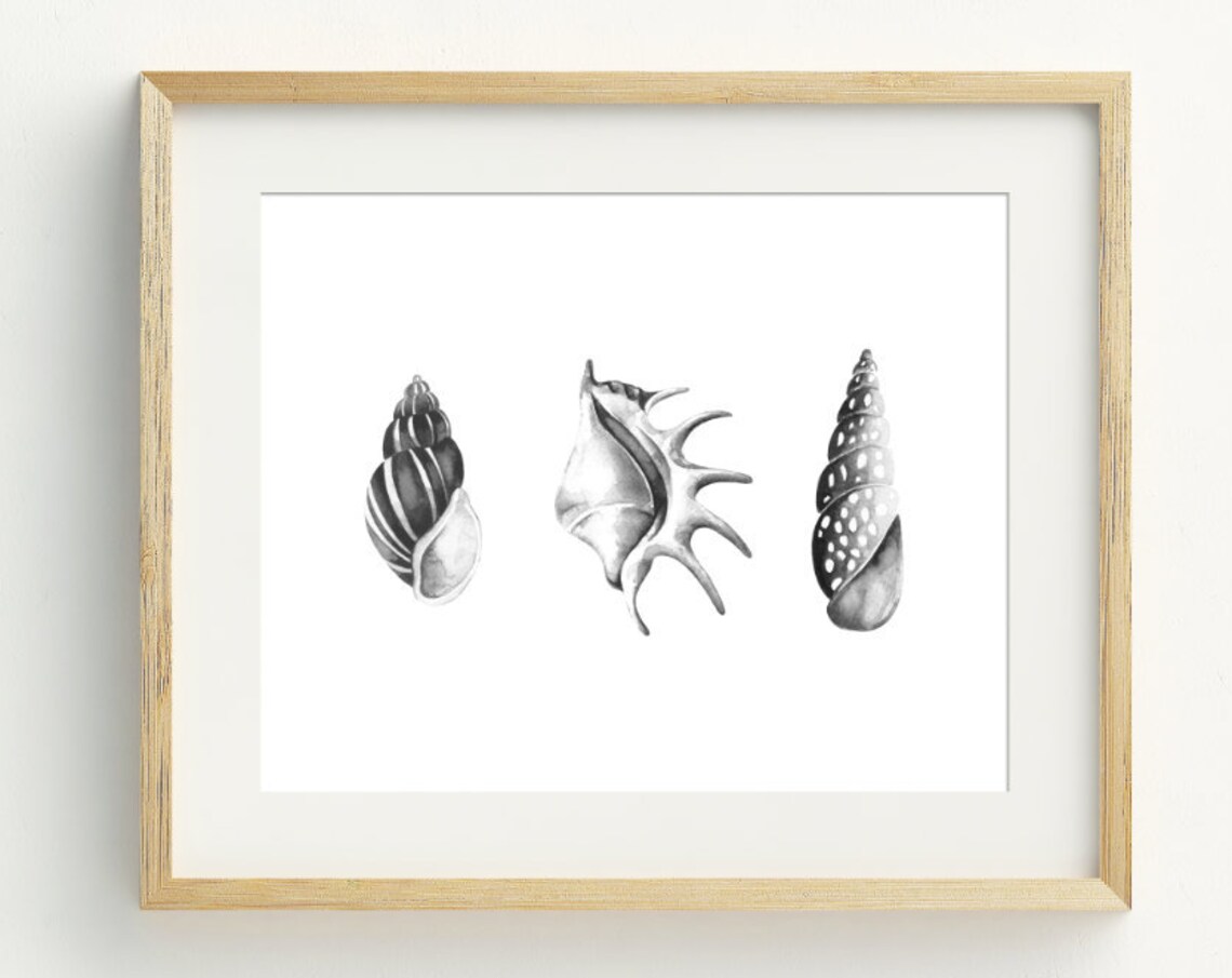 Seashell Print, Minimalist Coastal Wall Art