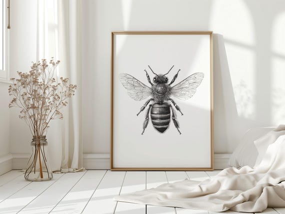 Detailed Honey Bee Illustration Wall Art Black And White Insect Drawing Nature Canvas Print For Farmhouse Rustic Or Modern Dcor