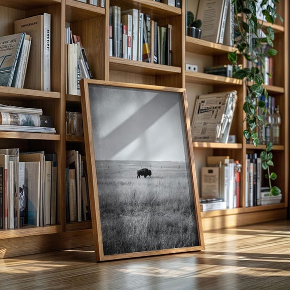 Lone Bison On Prairie Black And White Wildlife Wall Art