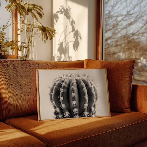 Black And White Cactus Close Up Minimalist Desert Photo Poster