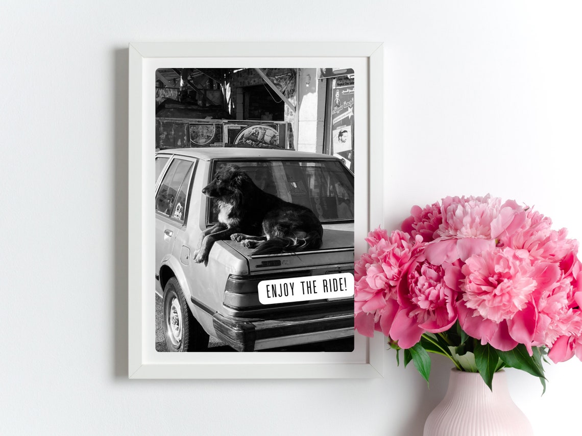 Enjoy The Ride Fun Travel Quote Print Sassy Holiday Gift For Dog Lovers Cute Dog Photography Egypt Wall Art Quote Sassy Strays Photo - Image 2