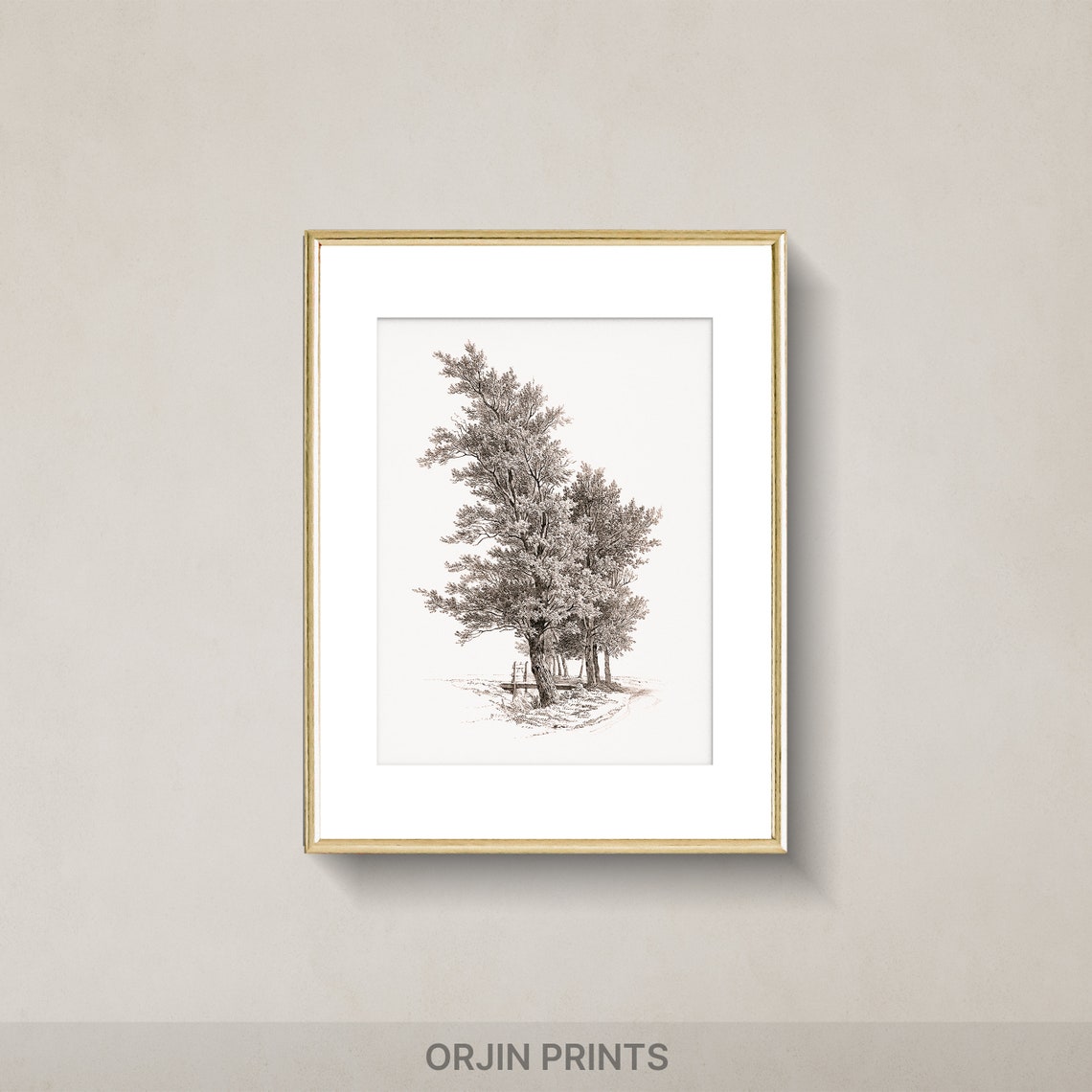 Tall Slender Trees Delicate Ink Drawing Minimalist Art Poster