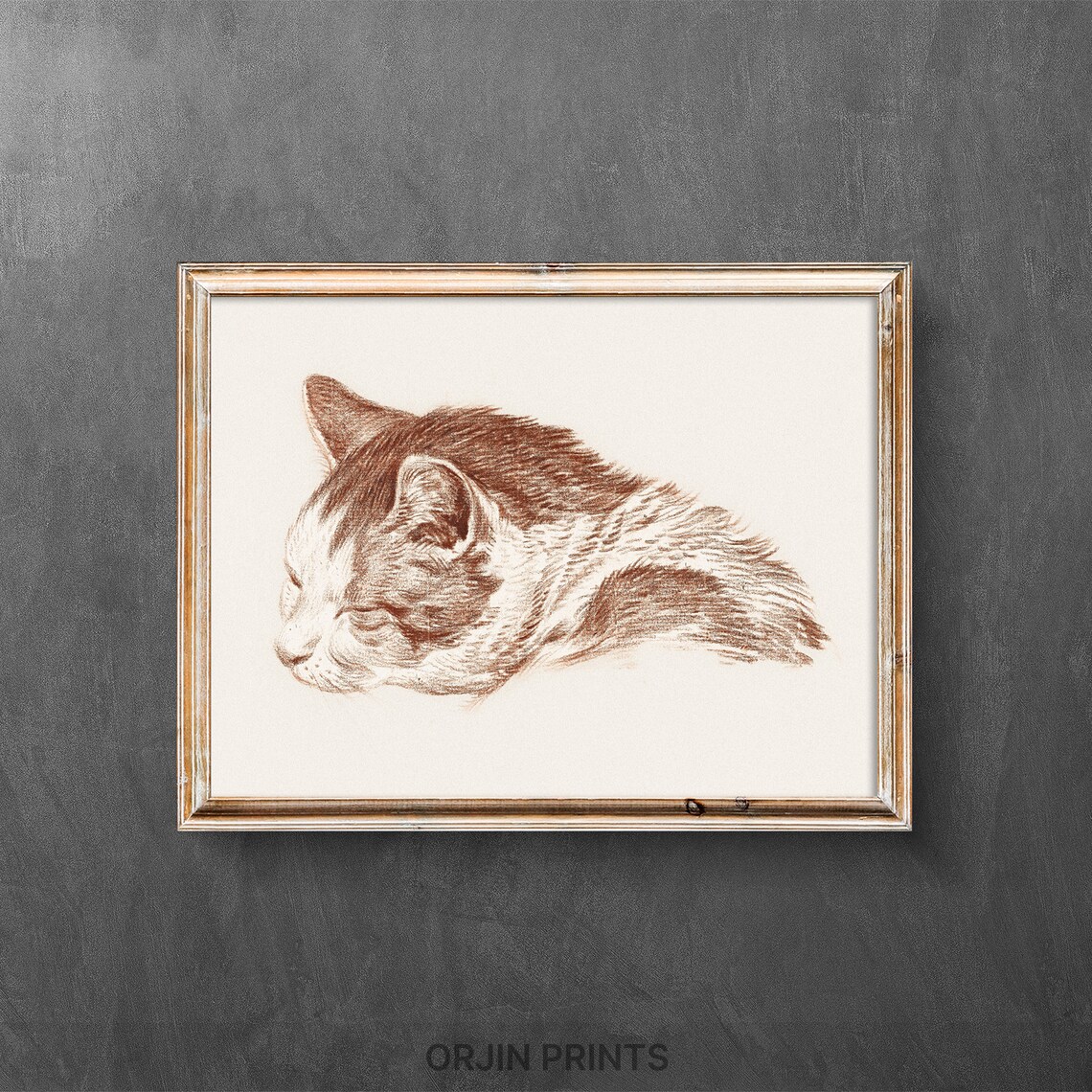 Sleeping Cat Head in Sepia Chalk Sketch Cozy Feline Art Poster