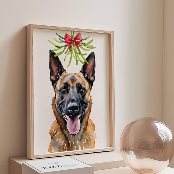 Belgian Malinois Mistletoe Christmas Dog Portrait Watercolor Holiday Poster