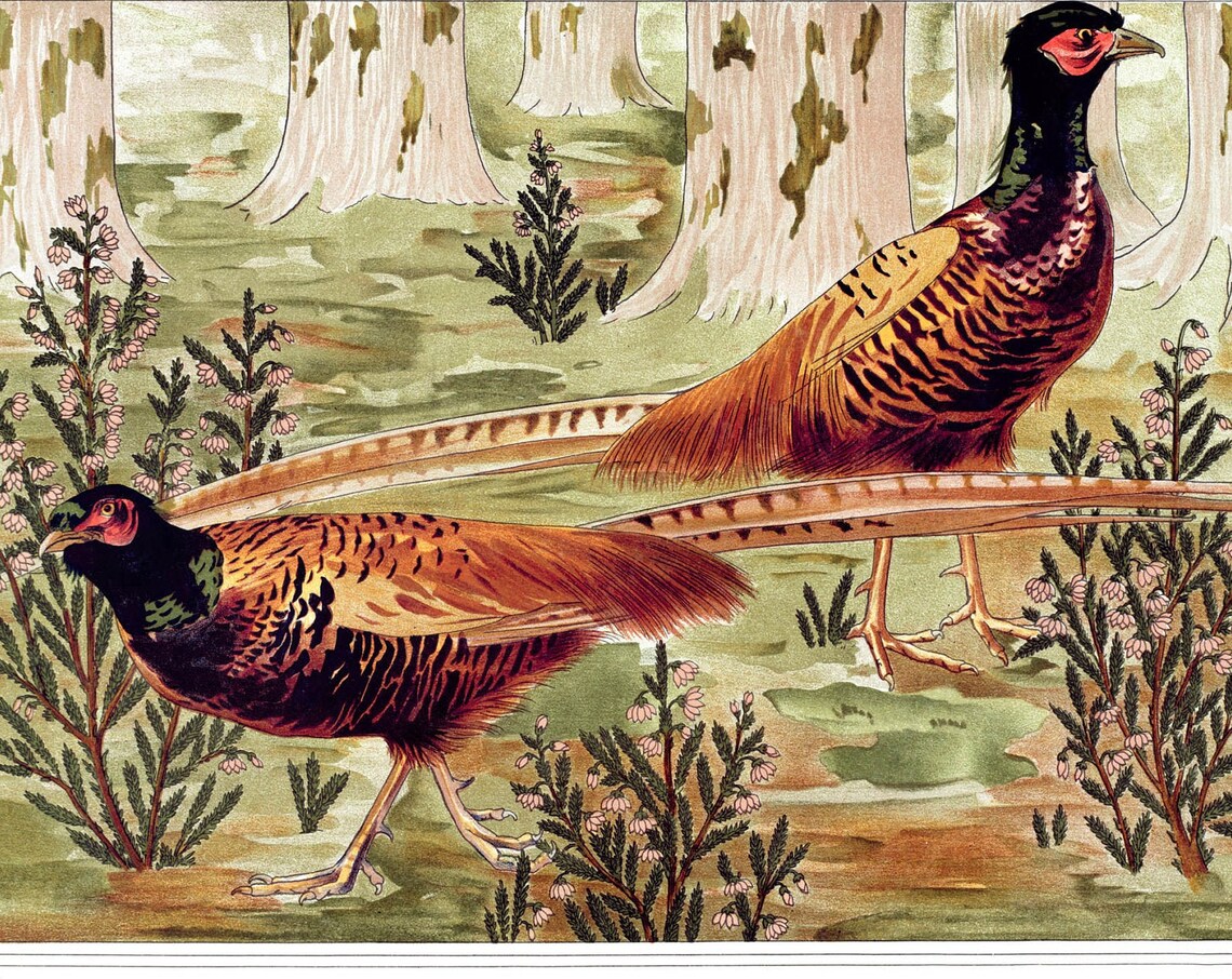 Maurice Verneuil Two Pheasants in Heather Forest Art Nouveau Poster