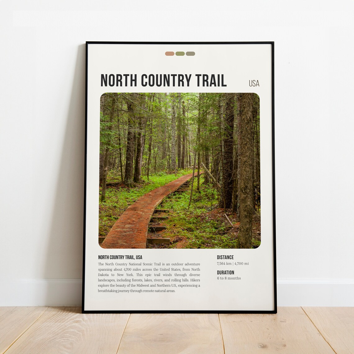 North Country Trail USA Forest Boardwalk Hiking Info Travel Poster