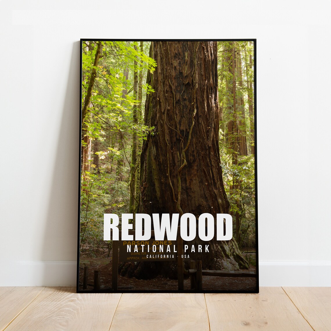Redwood National Park California Giant Forest Travel Photo Poster