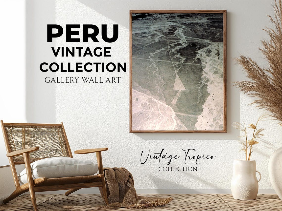 Peruvian Desert Aerial View Winding Dry Riverbeds Vintage Wall Art