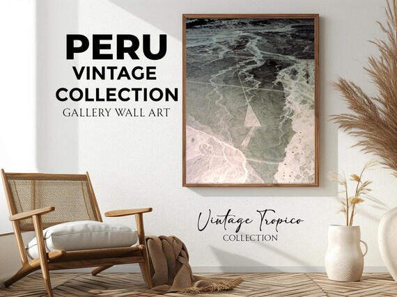 Peruvian Desert Aerial View Winding Dry Riverbeds Vintage Wall Art