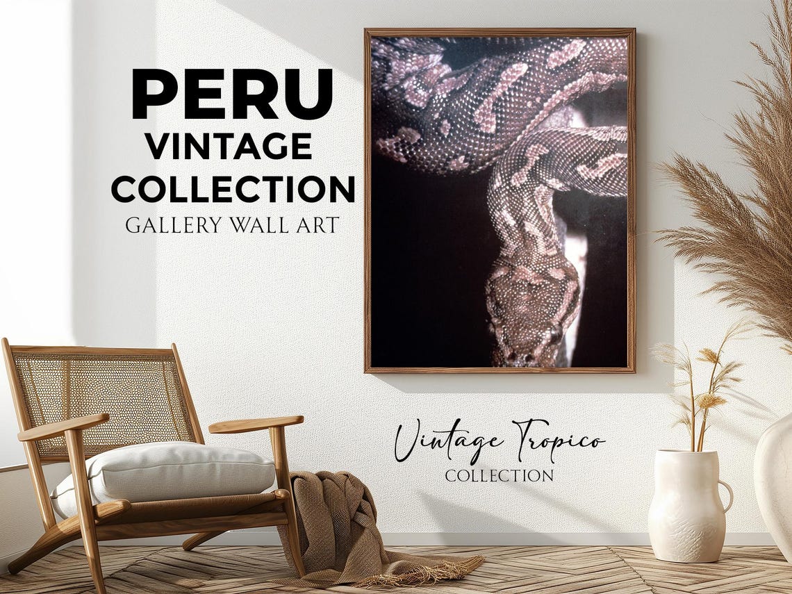 Large Snake Coiled Close Up Patterned Scales Vintage Wildlife Wall Art