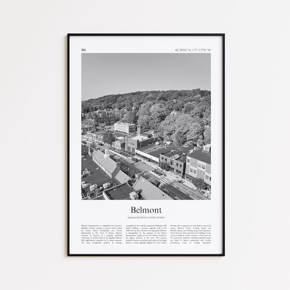 Belmont Massachusetts Aerial Town View Black And White Photo Travel Poster