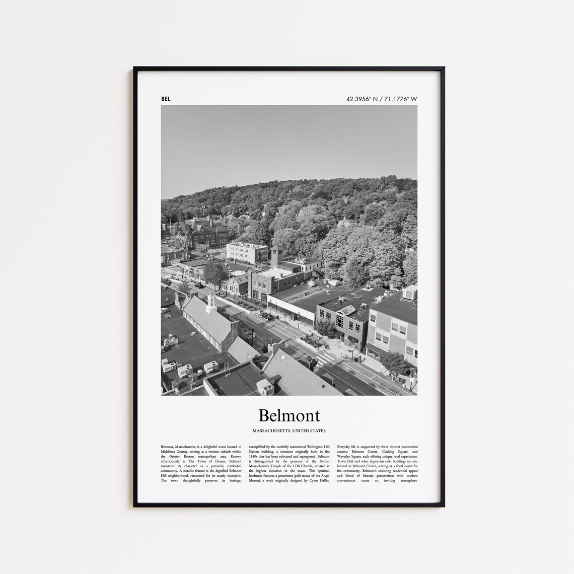 Belmont Massachusetts Aerial Town View Black And White Photo Travel Poster