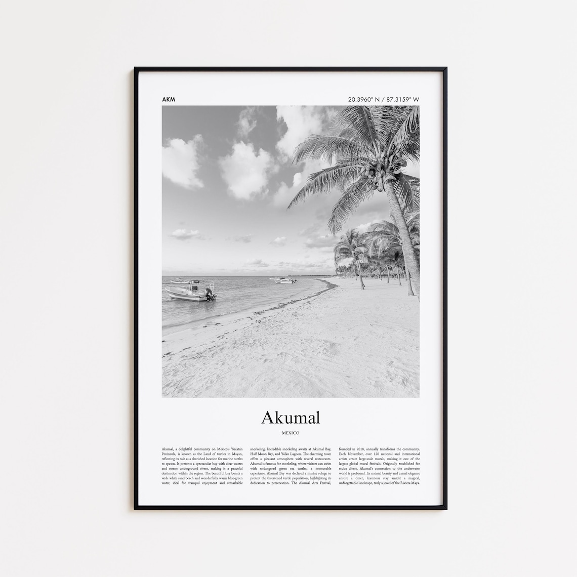 Akumal Mexico Palm Beach Black and White Photo Travel Poster