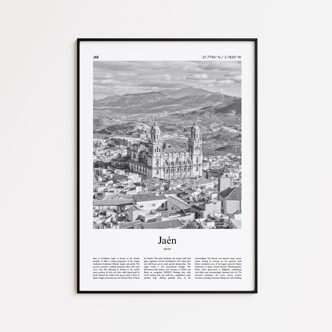 Jaen Spain Cathedral Black And White Photography Travel Poster