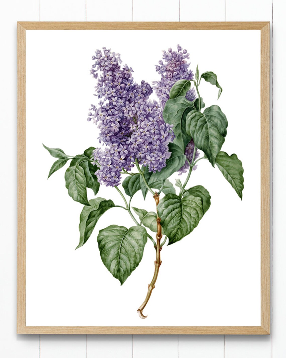 Vintage Lilac Branch Botanical Flower Art Print - Image 4